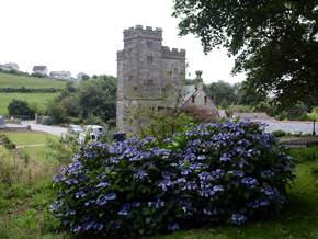 building-pathology-cornwall